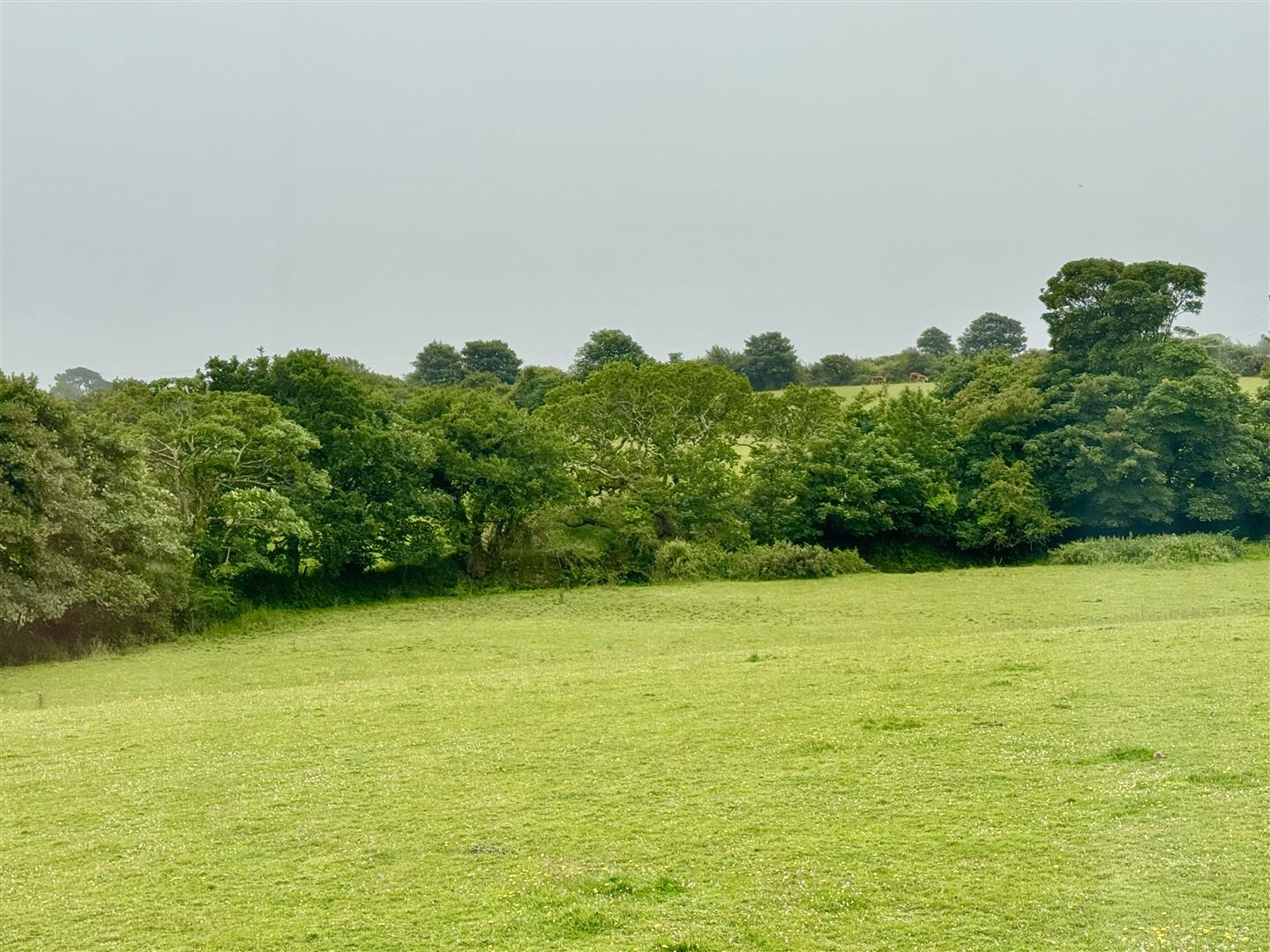 Hendra Terrace, Stithians, Truro